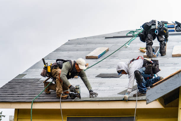 Professional Gutter Installation technician working in Le Claire, IA